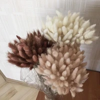 Weißer Lagurus-Trockenblumenstrauß