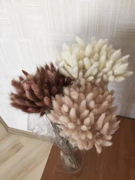 Dried flower bouquet featuring white and pink lagurus flowers. The bouquet has a soft, fluffy texture and a natural, rustic appearance.