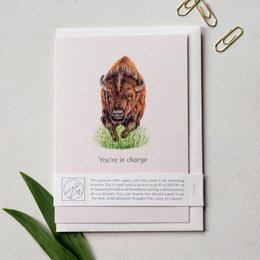 A colorful greeting card featuring a detailed illustration of a bison with the text "You're in charge" printed below. The card is suitable for various occasions and can be used to convey a message of empowerment or leadership.