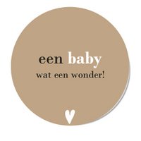 Mini Forex Circle - A Baby