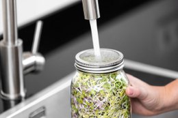 Zestaw słoików do kiełkowania z podwójnymi słoikami o pojemności 1000 ml