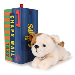 BTC - Bertha the American Bulldog in gift box - 20 cm -