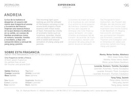 Scented Sticks Mikado Diffuser | Aromatic fresh and green fragrance | ANDREIA | 250ml/8.45 fl.oz