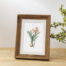 Botaniczny Art Print Mix x16 | Vintage ilustracja kwiat | Dekoracje ścienne