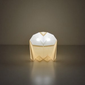 Barn Owl DIY Paperlamp Kit