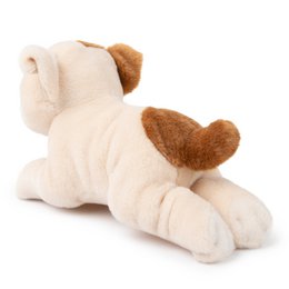 BTC - Bertha the American Bulldog in gift box - 20 cm -