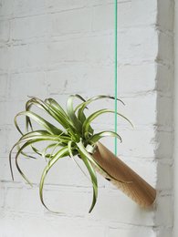 Hanging Cylinder - Light Oak