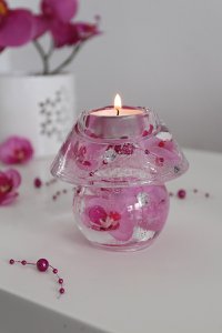 Dream Noblesse Mini Pink Orchid VE 6