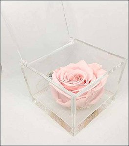 Eternal Rose Cube Gestabiliseerd Roze 10cm Gemaakt in Italië