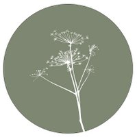 Muurcirkel berenklauw olijfgroen