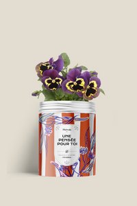 Samenset - EIN GEDANKE FÜR SIE