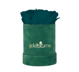 Colección Terciopelo Verde