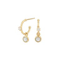 Bhavani earrings