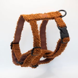 Teddy -Geschirr braun