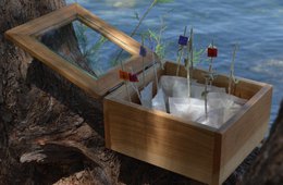MΩLY "Love" – Tisana HoReCa con stelo di erbe naturali