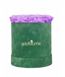 Colección Terciopelo Verde