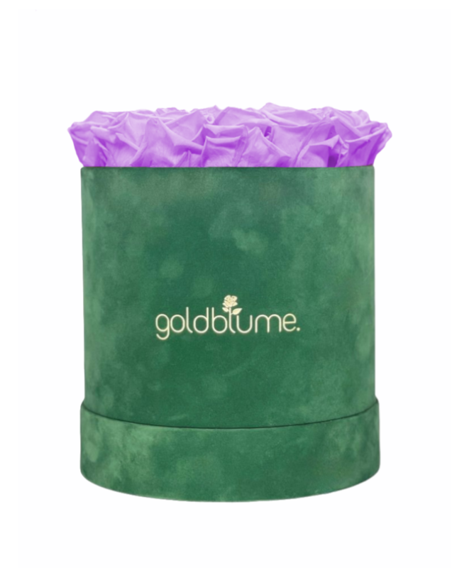 Colección Terciopelo Verde