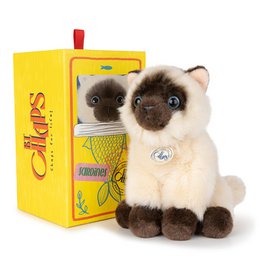 BTC - Eddie the Siamese in gift box - 17 cm -