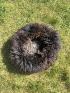 Hondenmand Brown - 100% schapenvacht