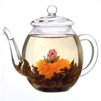 Creano teapot made of glass with lid for 500ml tea for tea blum, tar lunches and loose tea as well as tea bags | High quality, heat -resistant