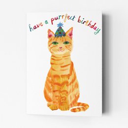 Purrfect Birthday
