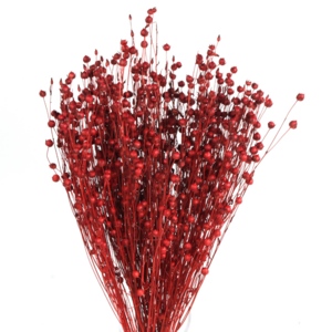 35 stelen Gedroogd Linnen Rood