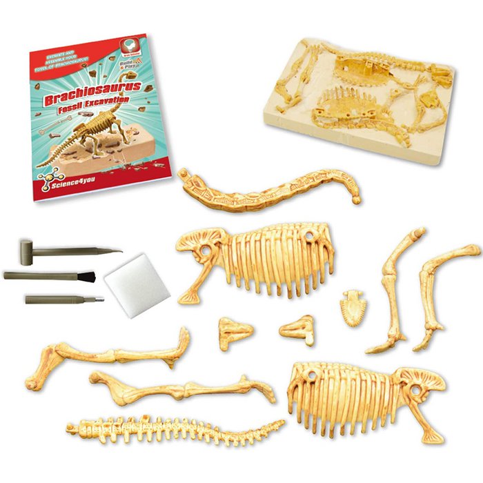 Science4you Fossil Excavations 4 in 1 Glow in the Dark
