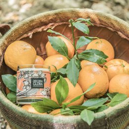 Candela profumata | Fragranza agrumata e floreale di campi di fiori d'arancio | Siesta en los Naranjos | 220gr