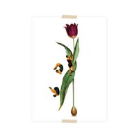 Postcard collage tulip with springers