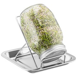 A set of 1000ml glass sprouting jars with a stainless steel frame for growing sprouts and microgreens.