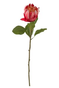 J-Line Protea Branch Kunststoff Rot