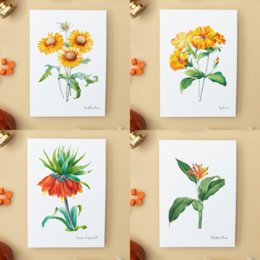 Pack Todos los Colores - Postales Hechas A Mano A6 con Sobre - Botanical Vintage