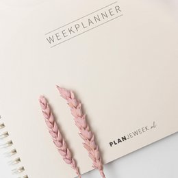 Prikkelarme A4 weekplanner 'Lotus' planboekje / werkboek met ringband