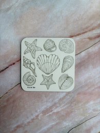 Coasters featuring a variety of seashell and marine life designs in neutral tones. Includes round, oval, and star-shaped shells as well as other intricate patterns.