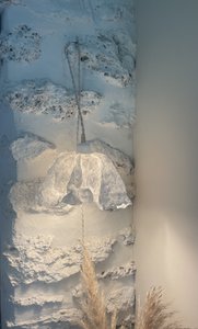 Flora wandelmuurlicht