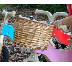 Van Dijk Spielzeug Dijk Trike Mandje