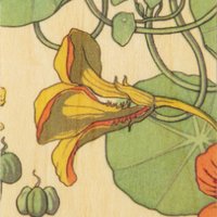 wooden bookmarks Mp.fleurs capucine