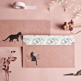 Papirsæt | katte