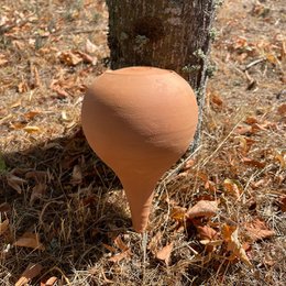 Terracotta pot, 70cl capacity, for gardening and planting.