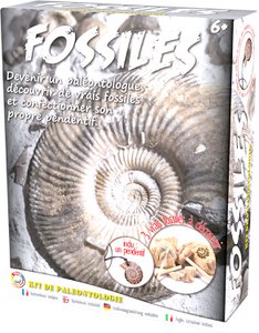 PALEO-KIT: FOSSILIEN