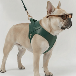  Vegan leather dog harness, forest green, adjustable chest strap, stylish pet accessory