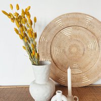 Phalaris Yellow Dried Flowers