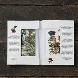 Forrest gnomes- Christmas cards