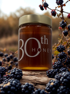 Zarzamora honey