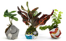 3 OriBon - Colección de animales de la selva tropical