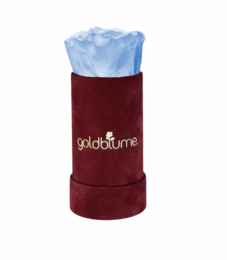 Velvet Bordeaux Collection