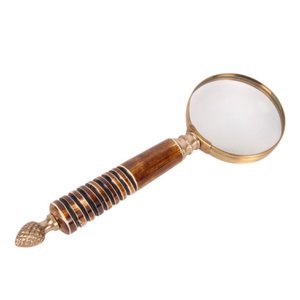 Magnifying Horn