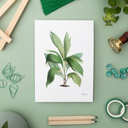 Green Pack - Handgemaakte Ansichtkaarten A6 met Envelop - Botanische Vintage
