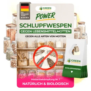 Schlupfwespen gegen Lebensmittelmotten