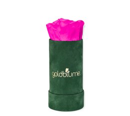 Colección Terciopelo Verde